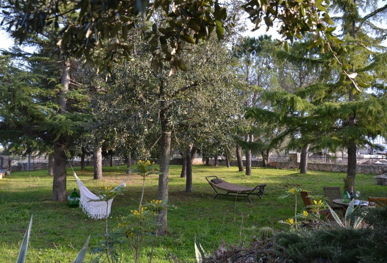 Lavanda Apartment - Villaggio Di Mary Locorotondo Exteriör bild
